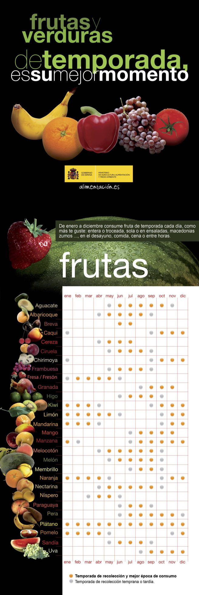 Grapevine Properties Seasonal Calendar of Fruits and Vegetables in Spain