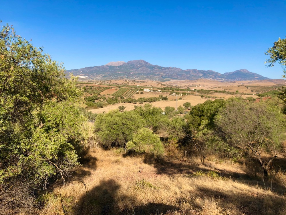 The Other Side Of Real Estate in Inland Malaga • Grapevine Lifestyle