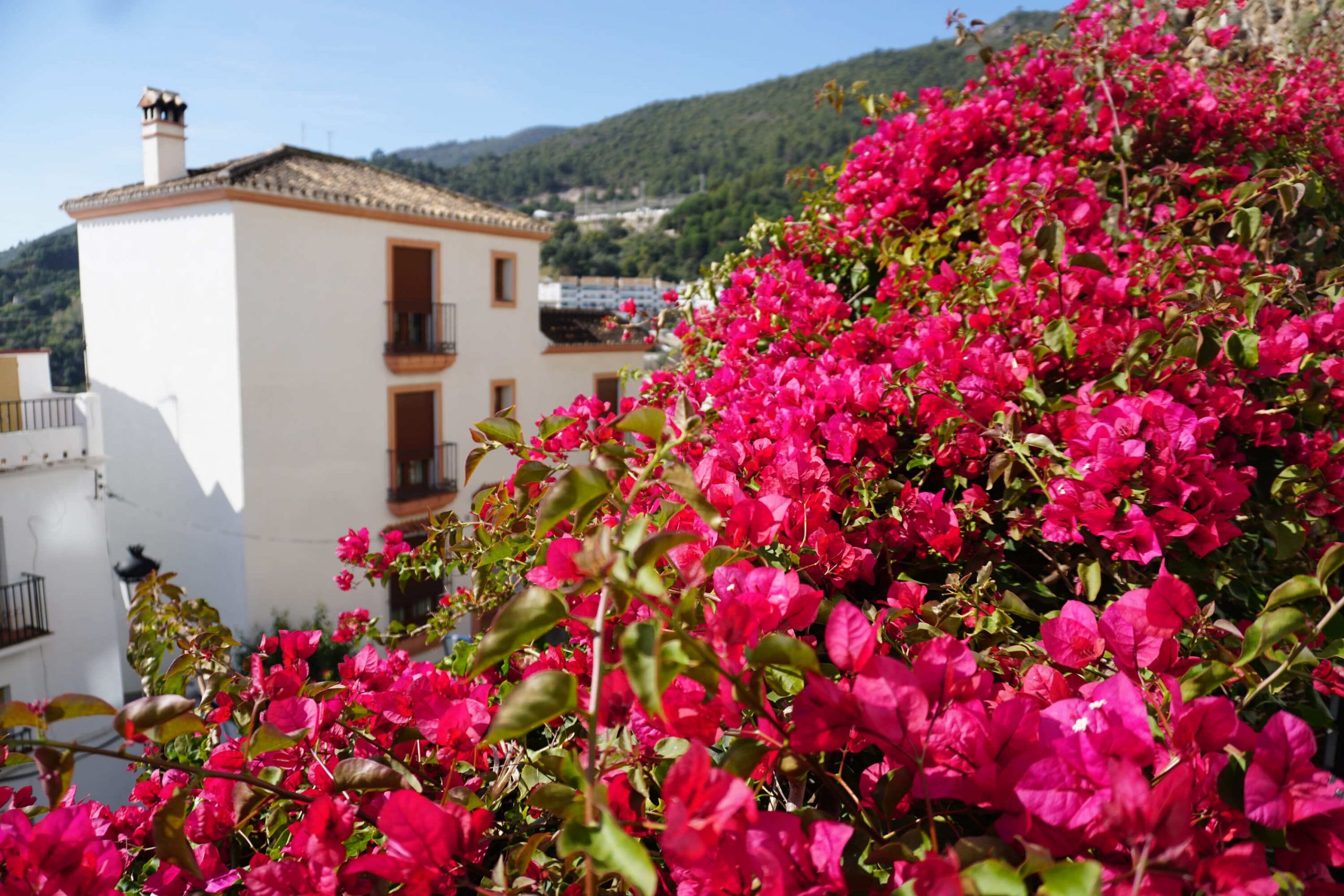 What you want to know about property for sale in Coin Malaga